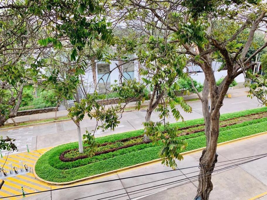 Estupendo Depa En San Isidro Apartamento